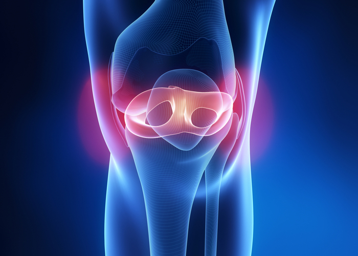 Knee Articular Cartilage | Vail CO