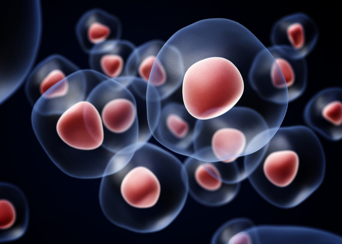 Stem Cells | Vail CO
